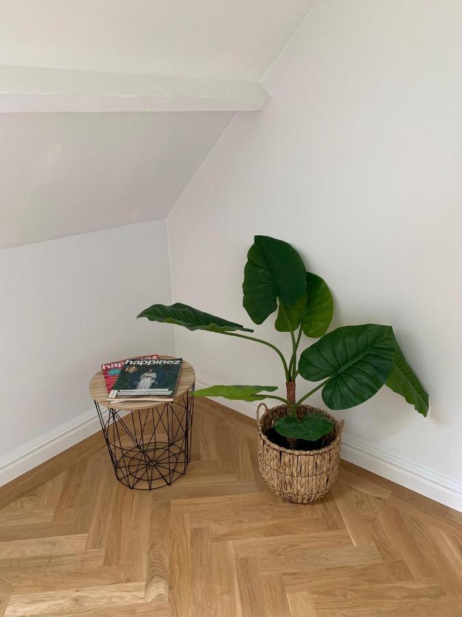 Scheldewegel Vakantiehuis Schelderode 外观 照片